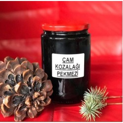 ÇAM KOZOLAĞI PEKMEZİ 330