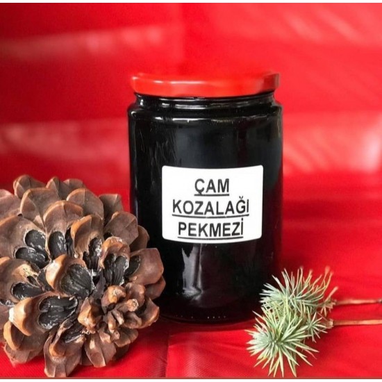 ÇAM KOZOLAĞI PEKMEZİ 330