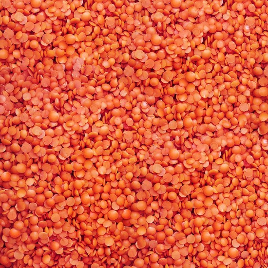 YERLİ YAPRAK KIRMIZI MERCİMEK