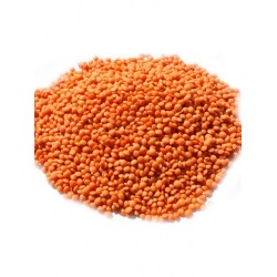 YERLİ FUTBOL KIRIMIZI MERCİMEK