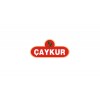 Çaykur