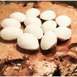 KAŞIK HELVASI 250 GR